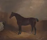 Snr. John Frederick Herring, Portrait of a chestnut horse in a stable by a manger with an initialled horse blanket J F H