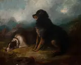 George Armfield, Gordon Setters