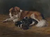 Rsa Rsw Pssa John Murray Thomson, Collie and her pups, oil on canvas