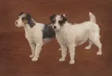 F. M. Hollams, 'Crafty and Jill' - two wire haired terriers