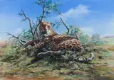 John Seerey-Lester, Leopard amongst the trees