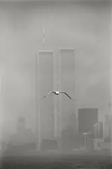 Louis Stettner, Seagull, Twin Towers, 1979, Vintage. Silbergelatineabzug