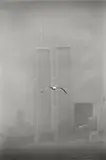 Louis Stettner, Seagull, Twin Towers