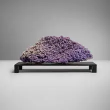 Indonesian, Grape agate with quartz specimen