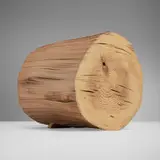 Kazuo Kadonaga, Wood No. 5, 1981, cedar