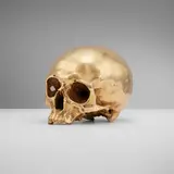 Blackman Cruz Workshop, Skull