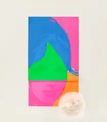 Martial Raysse, Ohne Titel, aus: „Edition Orignal 1, Um 1963, Kunstfell über Farbserigrafie auf Papiercollage