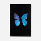 Damien Hirst, The Soul on Jacob’s Ladder, 2005, screenprint in colors