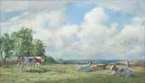 Rsa Rsw Pssa John Murray Thomson, Cows in Summer Pasture