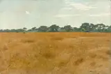 Wilhelm Kuhnert, Afrikanische Steppe