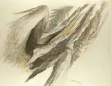 Raja Aissa, Abstract composition, oil on canvas