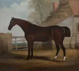 John Frederick Herring, Sr., Horse by a cottage, Oil on canvas
