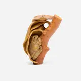 Janel Jacobson, Apple Blossom Branch, 2002, boxwood, amber, sumi ink, gold leaf