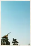 Concorde by Wolfgang Tillmans, 1997, Original-Kassette aus schwarzem Karton mit 1 C-Print auf Fujicolor Papier und 1 Buch, sold Jun 2012