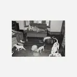Sage Sohier, Everett, Massachusetts (Dalmation Puppies), 1992, gelatin silver print
