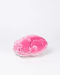 Erwin Wurm, Car Dumpling, 2014, Sprühfarbe auf Acryl