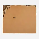 Pejac, Four Bees, 2020, acrylic and oil pastel on cardboard