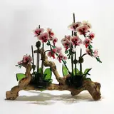 William Harris, Driftwood Orchid, 2025, repurposed wine, beer, and liquor bottles, floral tape, enamel paint, wood