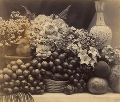Roger Fenton, Flowers and Fruit, 1860, Vintage. Albuminabzug