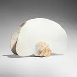 Warren Hullow, Untitled (Sea Form), 1987, glazed stoneware