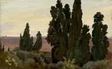 Adolf Henning, Villa d´Este, Cypressen No. 1, 1834, Öl auf Papier auf Pappe