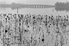 Kung Min-Lake, Summer Palace Beijing by René Burri, 1964, Vintage. Silbergelatineabzug, sold Jun 2015