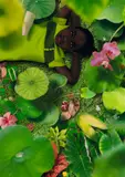 Ruud van Empel, Dawn # 1, 2008, Cibachrome-Abzug, Diasec