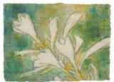 Funkien by Christian Rohlfs, 1936, Wassertempera auf faserigem Japan, sold May 2014