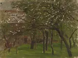 Johann Sperl, Blühende Obstbäume. (Vor) 1884, Öl auf Leinwand auf Karton