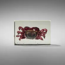 Alfredo Barbini, Crab, c. 1955, lattimo glass in crystal block