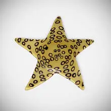 Ken Scott, Rare Starfish, 1951, murrine and incamiciato glass