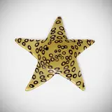 Ken Scott, Rare Starfish, 1951, murrine and incamiciato glass