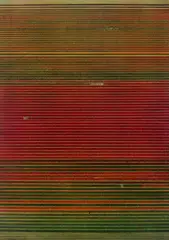 Ohne Titel XVIII by Andreas Gursky, 2015, Offsetlithografie auf Velin, sold Jul 2020