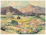 Carl Sammons, Desert at Palm Springs, Wild Flowers, Oil on canvas