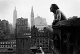 Duane Stephen Michals, Duane Michals. Portfolio mit 10 Fotografien