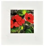 Donald Sultan, Fruits and Flowers Portfolio, 1991, The complete portfolio of eight screenprints on Arches 88 paper