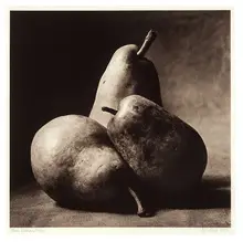 Cy Decosse, Three Italian Pears, 1994, Platinum-palladium print on Arches Platine paper
