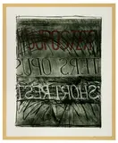 Bruce Nauman, Suposter