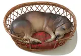Duane Hanson, Beagle in a Basket, 1990, Polychromed bronze, polyester cushion with acrylic filling, and basket