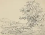Johan Christian Clausen Dahl, Die Staffelsteiner Linde und die Staffelburg, 1849, Bleistift auf Papier