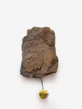 Klaus Weber, Clock Rock (lava), 2019, Vulkangestein, Pendel, Holzstab, Pendelantrieb