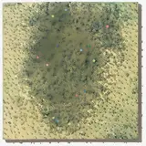 Willi Siber, Ohne Titel, 2013, Nägel, Epoxydharz und Acryl auf Polyiso-Hartschaum (PIR)