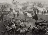 Sebastião Salgado, Sud Soudan“, Dinka Cattle Camp of Amak, 2006, Silbergelatineabzug
