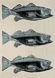 Andy Warhol, Fish, 1983, Screenprint on wallpaper