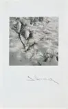 Josef Sudek, Untitled