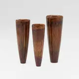 Mike Shuler, Collection of three vessels, 1999, protea blossom