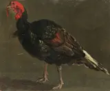 Study of a turkey by French School, oil on laid paper, offered Feb 2018