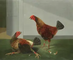 James Barenger, Fighting cockerels, oil on canvas