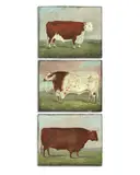 A set of three prized bulls by English School 19th century, oil on copper, sold Feb 2018