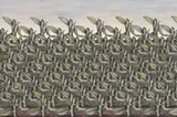 Hermann Waldenburg, Mais abgeerntet, 1979, Öl auf Leinwand